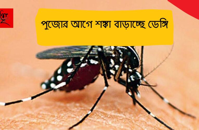 পুজোর আগে শঙ্কা বাড়াচ্ছে ডেঙ্গি