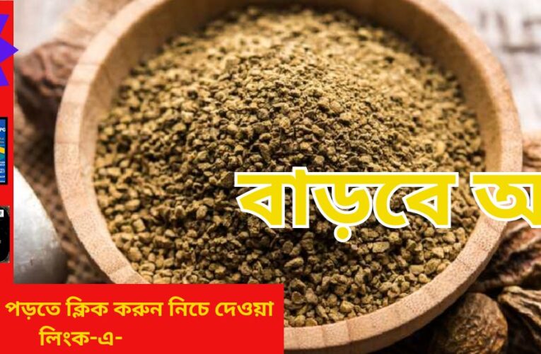 Herbal Remedy : রোজ সকালে এক গ্লাস! তাতেই বাড়বে আয়ু